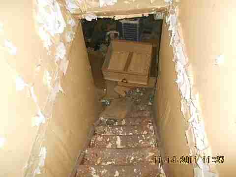 7485 American (14)_m.jpg